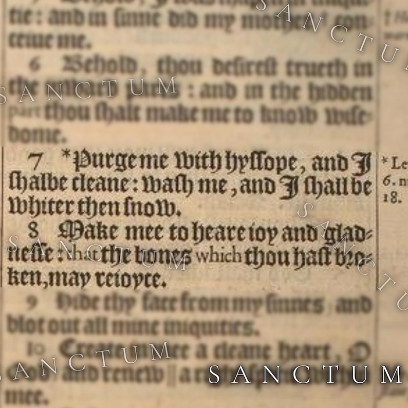 Bible Garden Seed Collection | 4 Edible Faith Inspired Plants | Grow God's Scripture Unique Herbs & Vegetables image 3