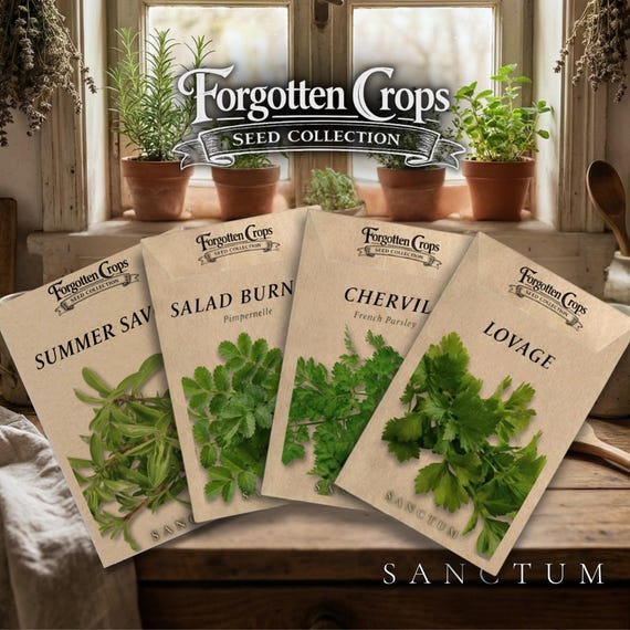 Forgotten Herbs Garden Seed Collection | 4 Unique Edible Heritage Herbs | Lovage, Chervil Seeds