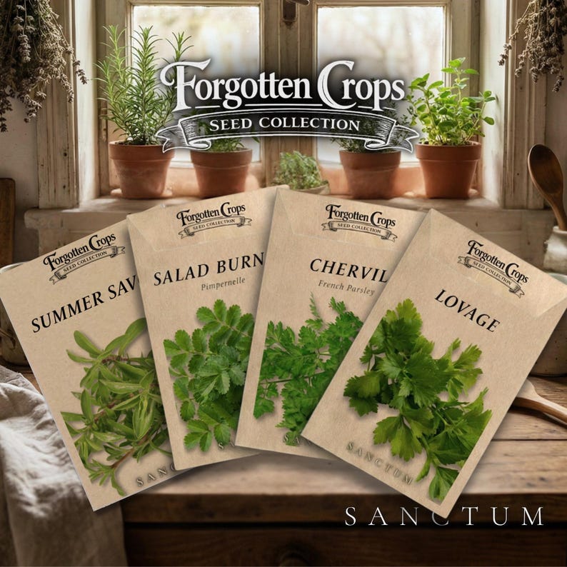 Forgotten Herbs Garden Seed Collection | 4 Unique Edible Heritage Herbs | Lovage, Chervil Seeds bild 1