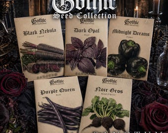 Gothic Garden Seed Collection | 5 Rare Edible Gothic Inspired Plants | Unique Purple Herbs & Crops