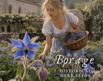 Borage Seeds | Heirloom Historical Herb Edible Flower | Medieval Plants Food Forest Borago Officinalis