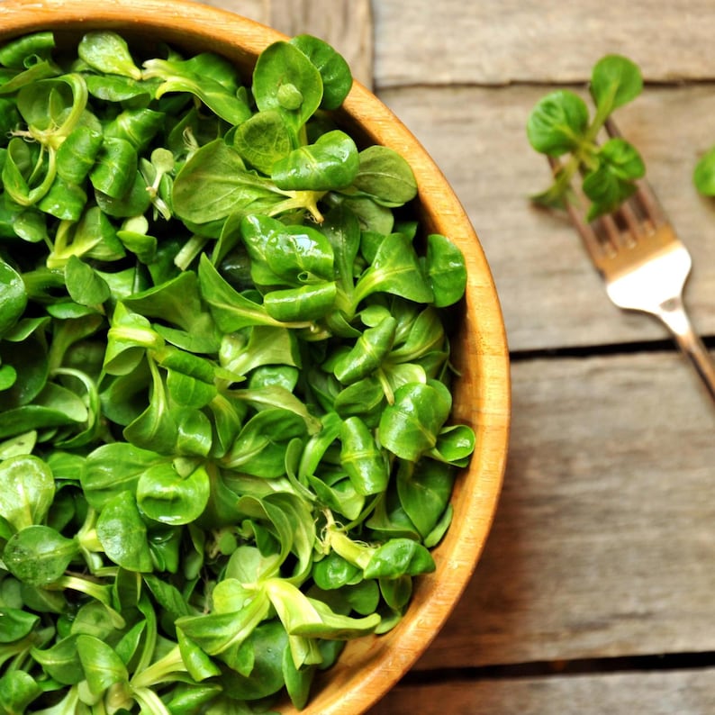 May include: A wooden bowl filled with fresh, vibrant green lamb's lettuce leaves. A silver metal fork rests nearby, with a small cluster of the same green leaves attached to its tines, showcasing the texture and color of the salad greens.
