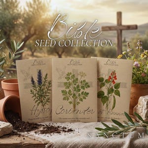 Bible Garden Seed Collection | 3 Edible Faith Inspired Plants | Grow God's Scripture Unique Herbs & Vegetables