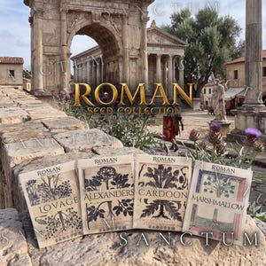 May include: Four rectangular seed packets labeled Roman Seed Collection featuring botanical illustrations of Lovage, Alexanders, Cardoon, and Marshmallow. Each packet displays black ink drawings of plants on a cream background with text.