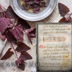 May include: A silver bowl containing water and dark purple leaves, placed next to a parchment document with handwritten text including the phrase "Tontys of Fleshe" and "THE FORME OF CURY c. 1390" with the quote "Take borage, cole... orage... and sode hem in goode broth."