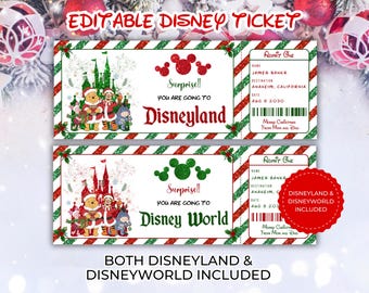 Biglietto modificabile per Natale a Disneyland, biglietto per Pooh a Disneyworld, biglietto modificabile con sorpresa, biglietto per parco a tema, biglietto regalo a sorpresa