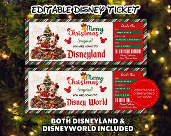 Editable Disneyland Ticket, Disneyworld Ticket, Surprise Reveal Editable Ticket, Theme Park Ticket, Surprise Ticket Gift, Instant Download