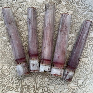 May include: Five pieces of sugarcane, each with a reddish-purple exterior and a white base. The sugarcane stalks are arranged on a decorative, off-white, floral-patterned surface. The cut ends of the sugarcane are visible.