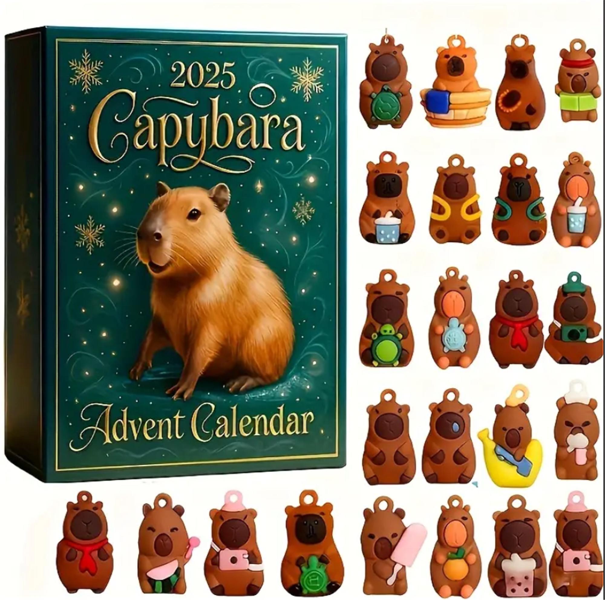 Discover 2025 Capybara Advent Calendar, 24 Acrylic Christmas Ornaments, 24 Days Christmas Countdown, Emotional Calendar, Christmas gift for Kids