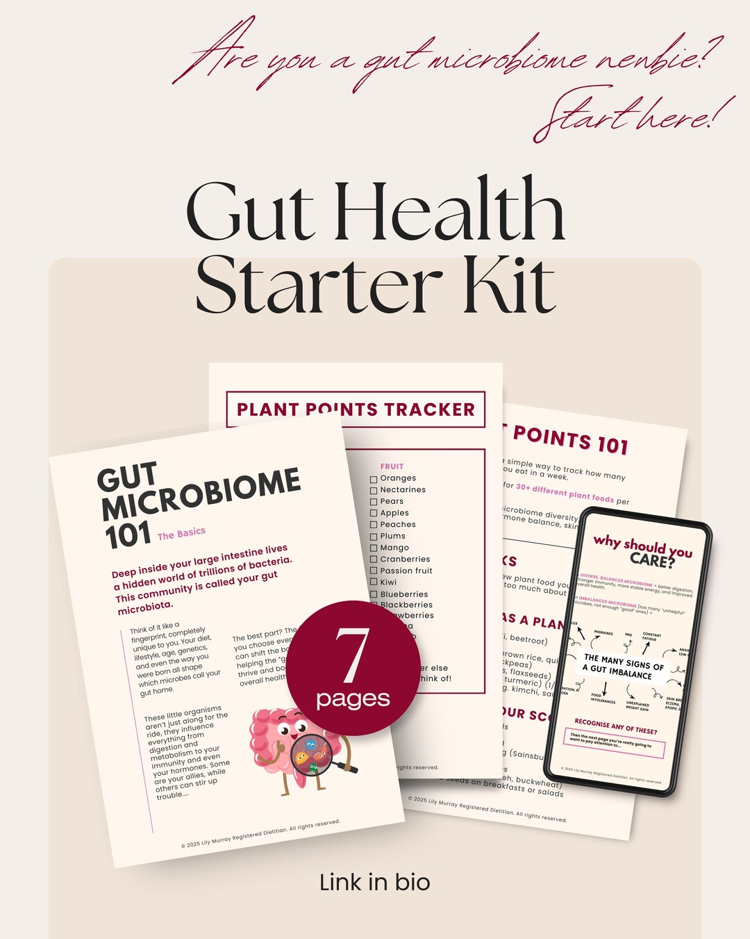 Gut Health Starter Kit - Etsy