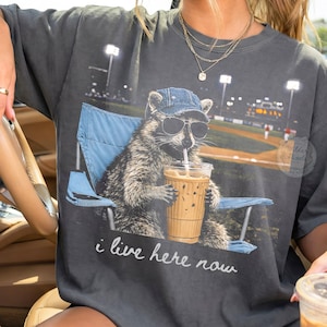 Mapache divertido campo de béisbol camiseta oscura solamente estilo mamá de béisbol PNG, imágenes prediseñadas de softbol, torneo de softbol de viaje, mamá de pelota de softbol DTG