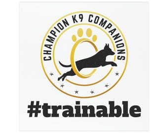 Car Magnet – Dog Training Decal