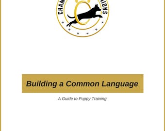 Building a Common Language: A Guide to Puppy Training