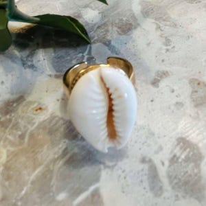 Könnte beinhalten: Verstellbarer goldfarbener Ring mit einer weißen Kaurischnecke. Die Muschel hat eine natürliche, glatte Textur mit einer braunen Mittelfärbung. Der Ring liegt auf einer marmorähnlichen Oberfläche, mit einem grünen Blatt im Hintergrund.