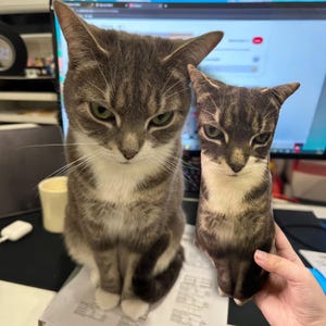 Almohada personalizada con foto de mascota, regalo divertido "feo pero adorable"