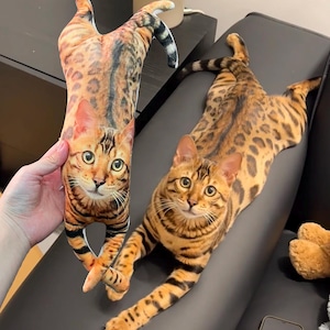 Gepersonaliseerde lelijke 3D-kussen, lichaamskussen, kussen voor huisdieren, aangepaste fotokussens, op maat gemaakt lelijk kussen voor vriend of huisdier, Valentijnsdagcadeaus.
