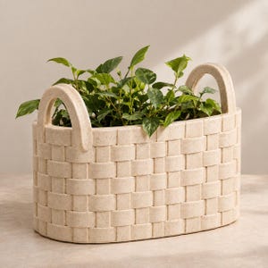 May include: An oval-shaped planter with a woven basket texture in a speckled beige finish. The planter features two integrated arched handles on the sides and contains a lush green leafy plant with pointed foliage growing from the center.