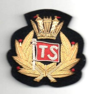 Handmade Gold Crown TS Embroidery Patch | Luxury Bullion Blazer Badge | Custom Initial Crest | Premium Uniform Emblem