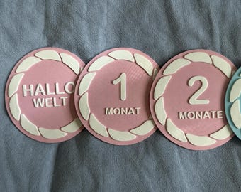 Tarjetas alemanas para marcar los hitos del bebé / 13 accesorios para fotos mensuales / Desde el "Hola Mundo" hasta el primer año