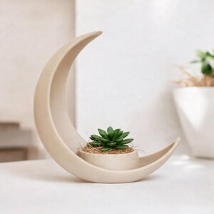 Crescent Moon Planter – Moderne succulente pot, minimalistisch 3D-geprint decor