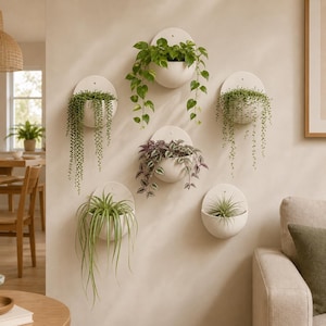 Può includere: Sei fioriere da parete bianche a forma di semicerchio disposte su una parete, ognuna contenente una diversa varietà di pianta d'appartamento verde, ricadente o eretta, tra cui un senecio, un pothos e una falangio, creando un giardino verticale.
