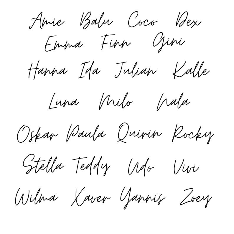 Beispiele personalisierter Hundenamen in geschwungener Schrift für das Hunde-Namensschild, darunter Milo, Luna und Rocky.