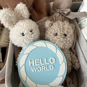 Op de afbeelding: Een wit krullend pluche konijn en een beige krullende pluche beer achter een ronde lichtblauwe houten plaquette. De plaquette heeft een witte rand met een gevlochten patroon en de witte verhoogde tekst HELLO WORLD op de voorzijde.