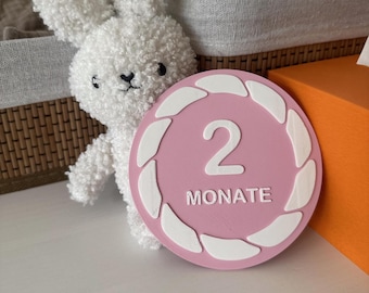 Tarjetas mensuales para bebés en alemán / 13 accesorios para fotos del primer año / Hola mundo al primer año