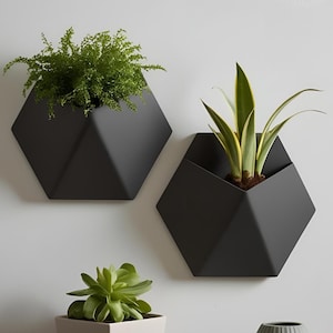 Può includere: Due fioriere da parete geometriche nere opache, ciascuna con un diverso tipo di verde. Le fioriere hanno una forma esagonale con lati angolati, creando un'estetica moderna e minimalista. Le piante sono di un verde vibrante.
