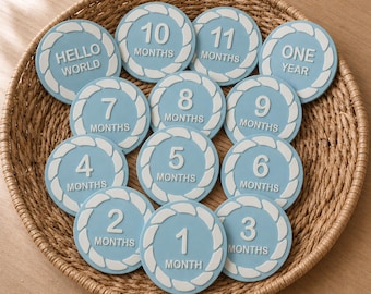 Regalo para baby shower / 13 discos para hitos del bebé para fotos mensuales del primer año / Set listo para usar
