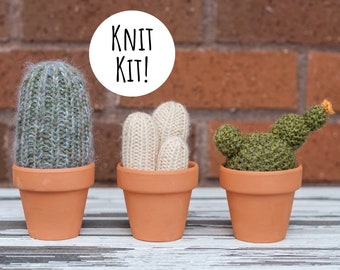 cactus knit kit #2