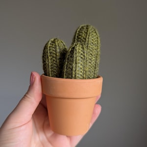 knit peanut cactus / faux cacti / houseplant / succulent / home decor / gift / office