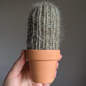 fuzzy old man cactus / faux houseplant / succulent / gift / office
