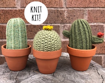 cactus knit kit #1