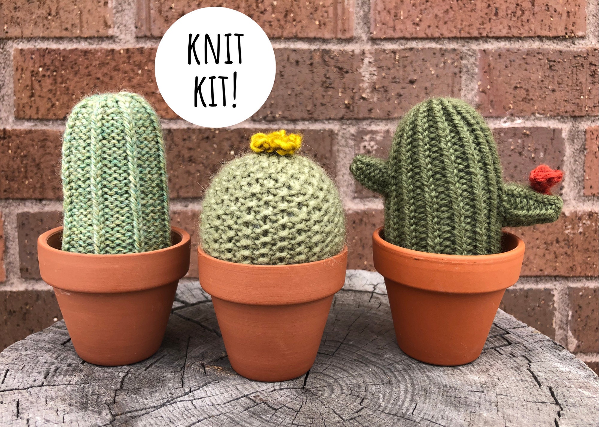 Cactus Knit Kit 1 Etsy