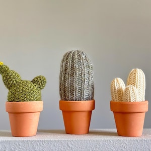 May include: Three knitted cactus plants in terracotta pots. The cactus on the left is green, the middle cactus is grey and white, and the cactus on the right is white.