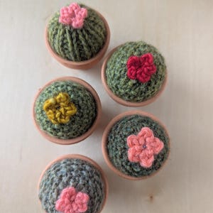 Hand Knit Mini Barrel Cactus: Wool Yarn Succulent Decor