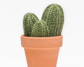 green peanut cactus.