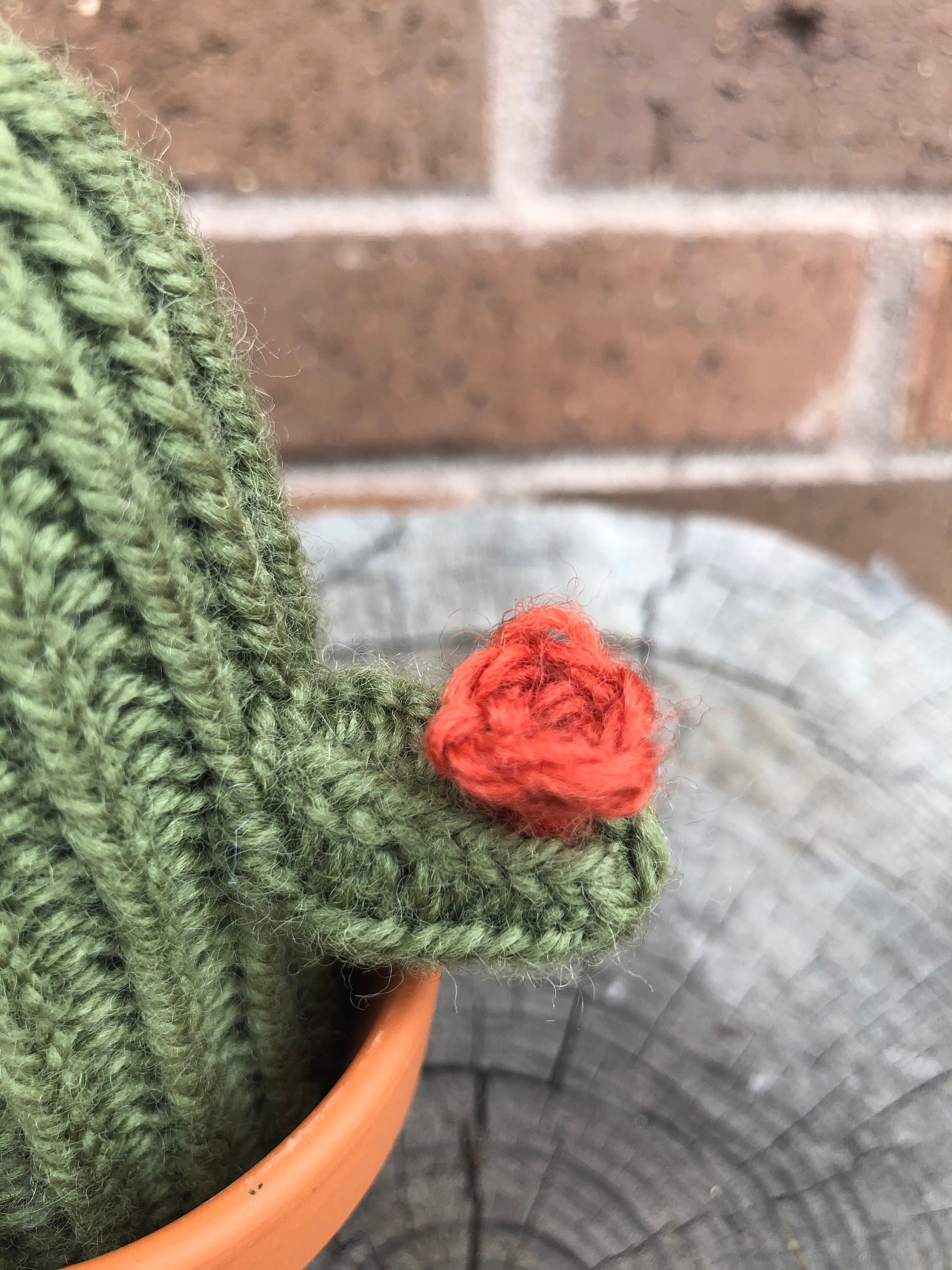 STRICKANLEITUNG - Ein Kaktus Stachel *PDF Instant Download* - Etsy.de