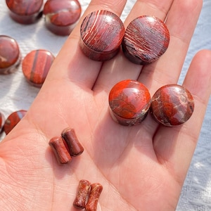 May include: Red jasper stone plugs and tunnels. The plugs are round and the tunnels are cylindrical. The stone has a natural pattern of red and brown hues. Several pieces are visible, some held in a hand.