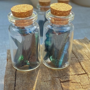 May include: Two small glass bottles with cork stoppers, each containing iridescent blue-green objects. The bottles sit on a weathered wooden surface, with additional bottles visible in the background. The glass is clear, and the corks are light brown.