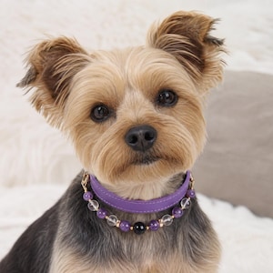 Amethyst Obsidian Crystal Dog Collar, Purple Leather Small Dog Jewelry, Black Obsidian Focal Bead, Pet Photo Prop Gift