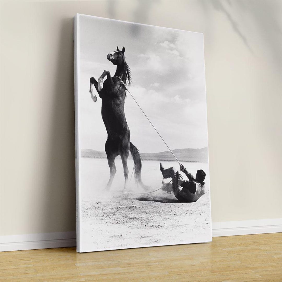 Wild West Moment, Vintage Black and White Horse Photography, Dramatic ...