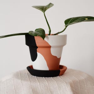 May include: A hand-painted ceramic plant pot with a matching saucer. The pot features a modern design with black, white, and terracotta color block patterns. The pot holds a green leafy plant.