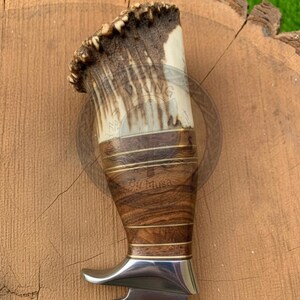 Peut inclure: Gros plan sur un manche de couteau avec une partie sup&eacute;rieure en bois de cerf naturel, un centre en grain de bois fonc&eacute; et une base en m&eacute;tal poli. La poign&eacute;e est orn&eacute;e de bandes couleur laiton et du texte "By Musa".