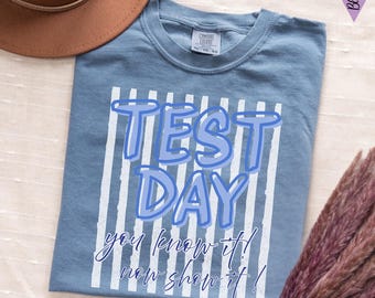 Camiseta para el día del examen: Camiseta retro rosa de Comfort Colors para motivar a los estudiantes, camiseta para exámenes estatales.