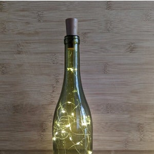 Wine Bottle Lights with Cork, Cork Bottle Lights 6.6 Feet Silver Wire 20 LEDs,Fairy Mini String Lights for wedding, party, gift (Warm White)