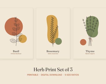 Herb Print Set of 3, Printable Kitchen Wall Art, Basil Rosemary Thyme, Botanical Digital Download