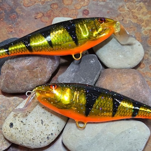 May include: Two fishing lures with a perch design. The lures have a gold and black body with orange accents and a clear plastic lip. The lures are resting on a bed of rocks.