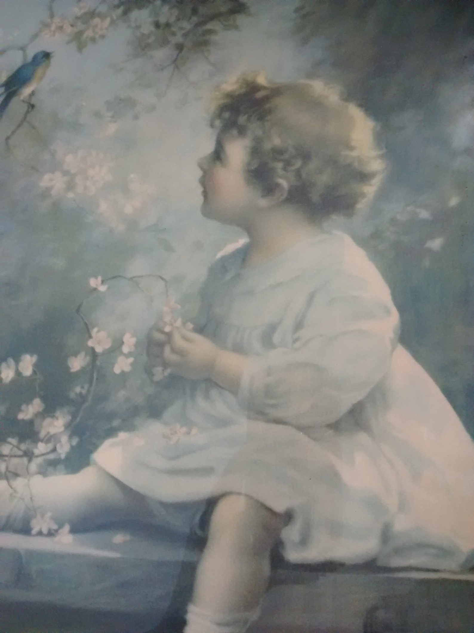 Antique Framed Zula Kenyon Print Song of the Bluebird | Etsy